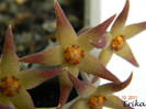 DSCN2368