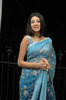 anchal_hot_blue_sareek
