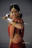 anushka-arunthathi-stills-10_900