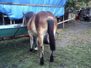 PICT0060
