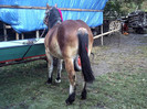 PICT0061