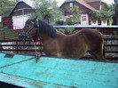 PICT0058