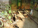 DSC05115