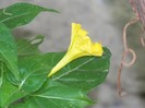 100_9960