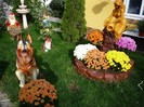 flori 028