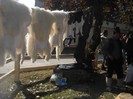 DSCN1669