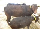 DSCN1673
