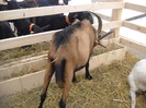 DSCN1675