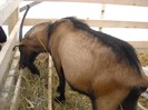 DSCN1676