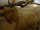 DSCN1677