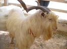 DSCN1678