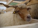 DSCN1685