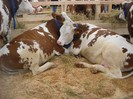 DSCN1695