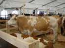 DSCN1697