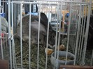 DSCN1707
