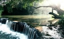 Cascada din padure