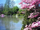 printemps_0012