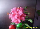 Picture 006