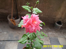 Picture 015