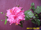 Picture 011