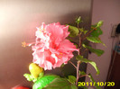 Picture 017