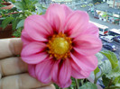 my pictures- octombrie 2011 006