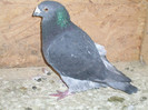 DSCN1295