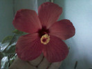 my pictures- octombrie 2011 123