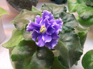 DSCF1848