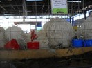 DSCN1745
