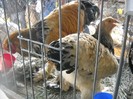 DSCN1754