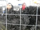 DSCN1763