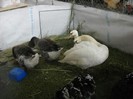 DSCN1765