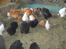 DSCN1768