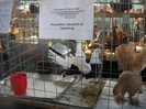 DSCN1776