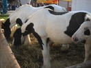 DSCN1778