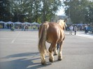DSCN1780