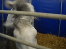 DSCN1789