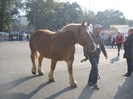 DSCN1793