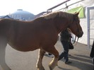DSCN1794