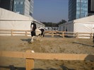 DSCN1795