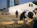 DSCN1796
