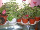 DSCN2095