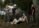 twilight-cast-1