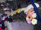 SDC13259