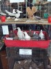 DSC08954