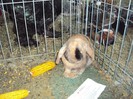 DSC08957
