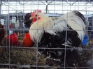 DSC08969