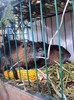 DSC08979