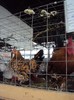 DSC08983